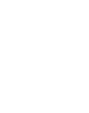 Riccione Pet