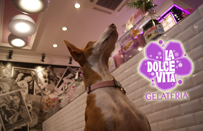 Gelateria La Dolce Vita